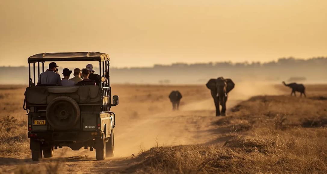 Rundreise mit Meiers Weltreisen – Safari Erlebnis in Afrika