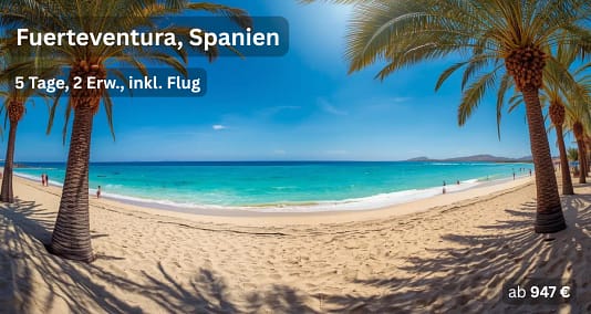Fuerteventura Spanien Strandurlaub mit Palmen und türkisblauem Meer